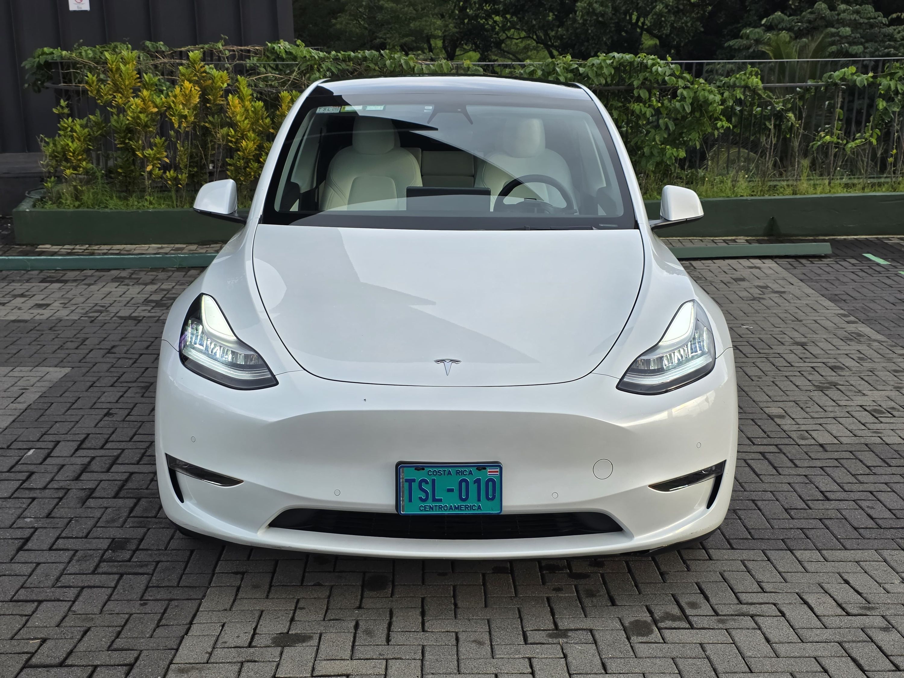 Tesla Model Y Long Range AWD foto 2